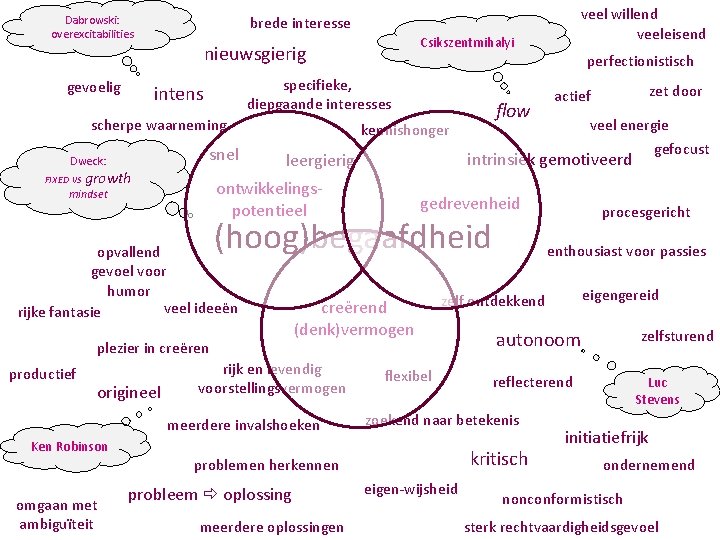Dabrowski: overexcitabilities gevoelig Csikszentmihalyi nieuwsgierig snel Dweck: perfectionistisch specifieke, diepgaande interesses intens scherpe waarneming