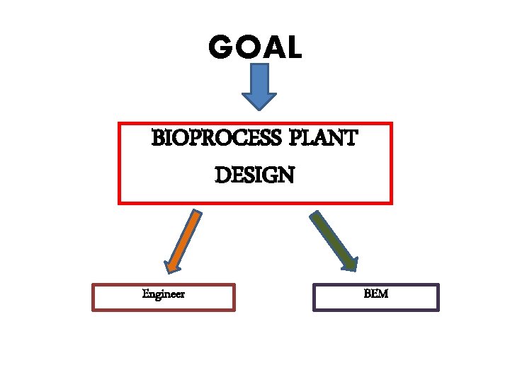 GOAL BIOPROCESS PLANT DESIGN Engineer BEM 