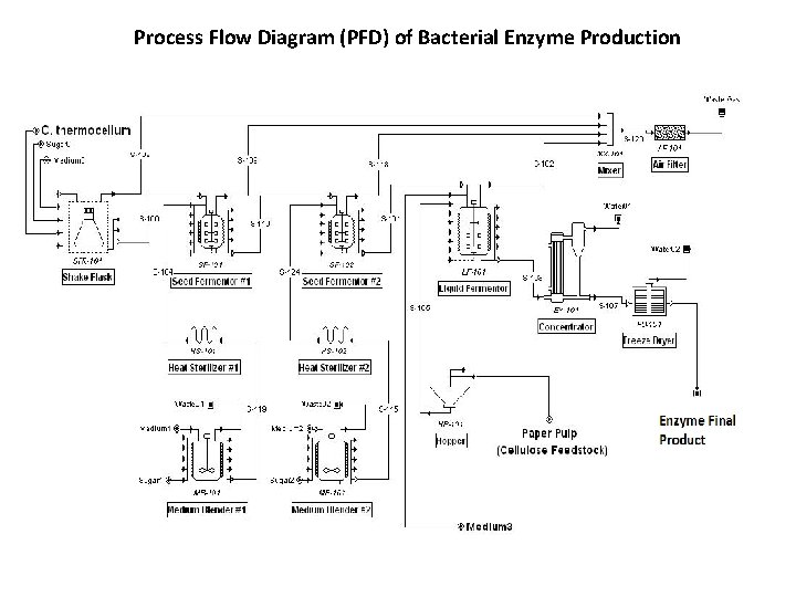 Process Flow Diagram (PFD) of Bacterial Enzyme Production 