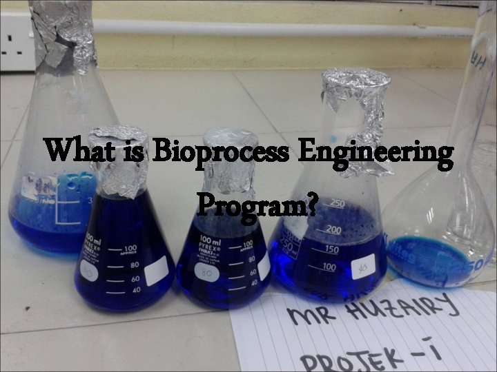 What is Bioprocess Engineering Program? 