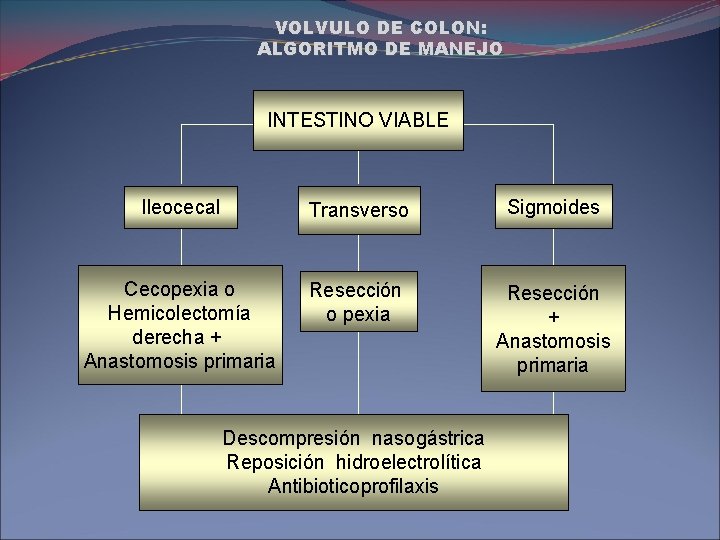 VOLVULO DE COLON: ALGORITMO DE MANEJO INTESTINO VIABLE Ileocecal Transverso Sigmoides Cecopexia o Hemicolectomía