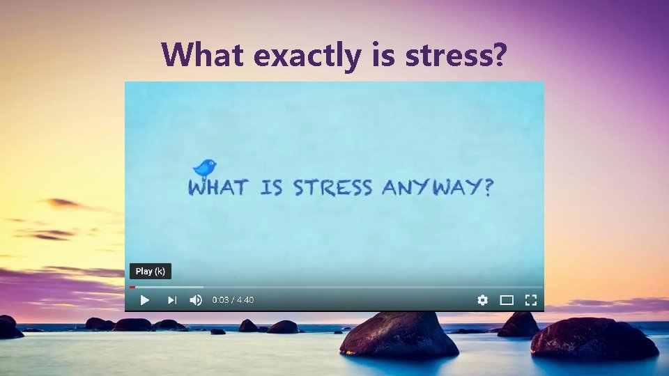 What exactly is stress? 