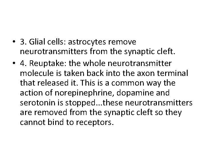  • 3. Glial cells: astrocytes remove neurotransmitters from the synaptic cleft. • 4.