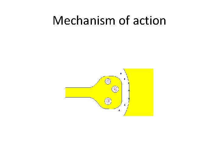 Mechanism of action 