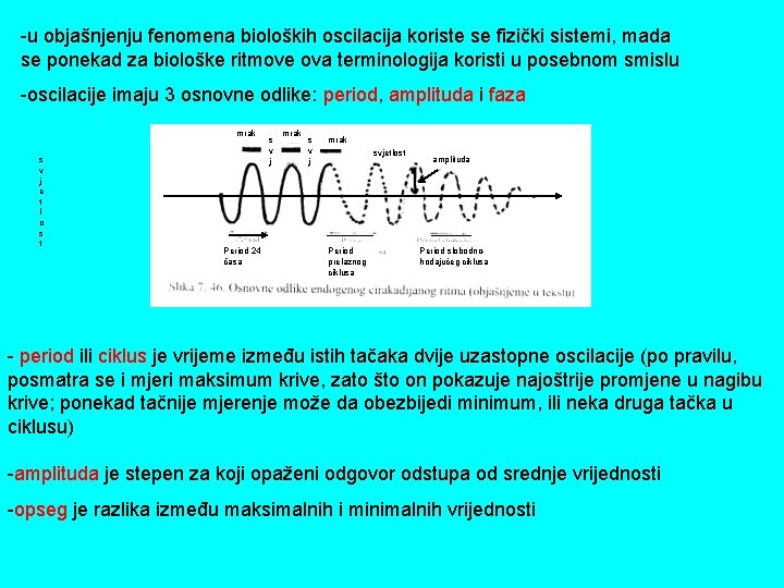 -u objašnjenju fenomena bioloških oscilacija koriste se fizički sistemi, mada se ponekad za biološke