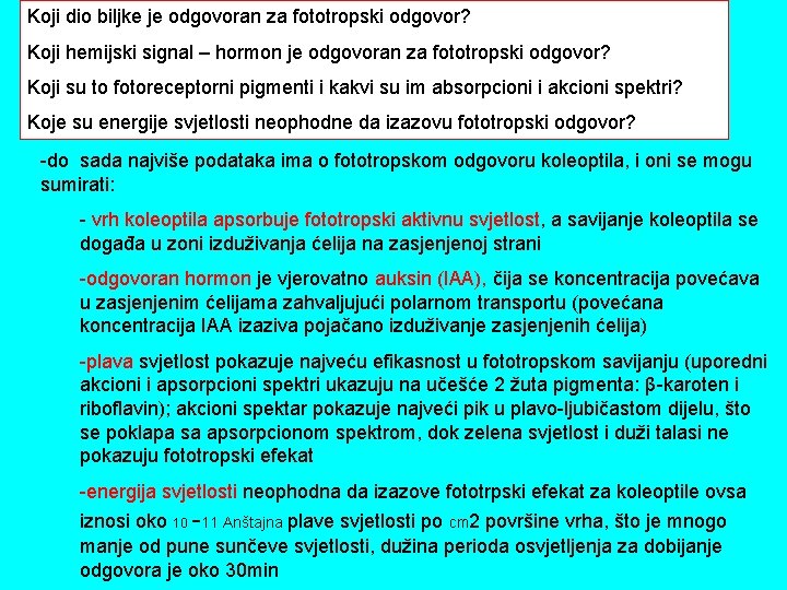 Koji dio biljke je odgovoran za fototropski odgovor? Koji hemijski signal – hormon je