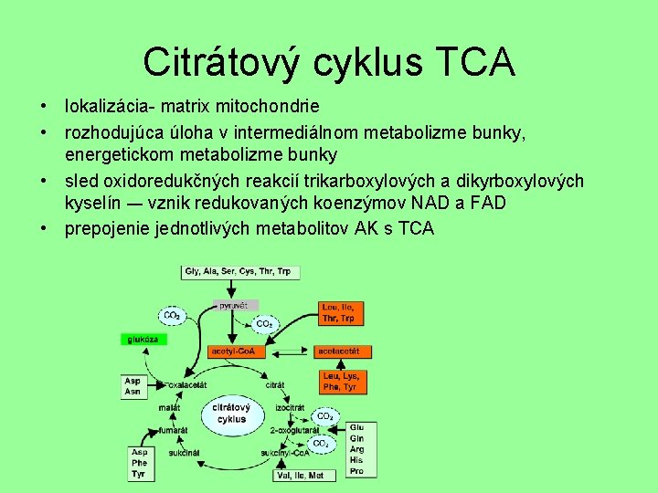 Citrátový cyklus TCA • lokalizácia- matrix mitochondrie • rozhodujúca úloha v intermediálnom metabolizme bunky,