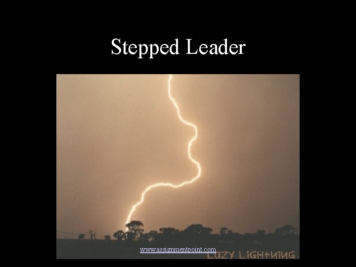 Stepped Leader www. assignmentpoint. com 