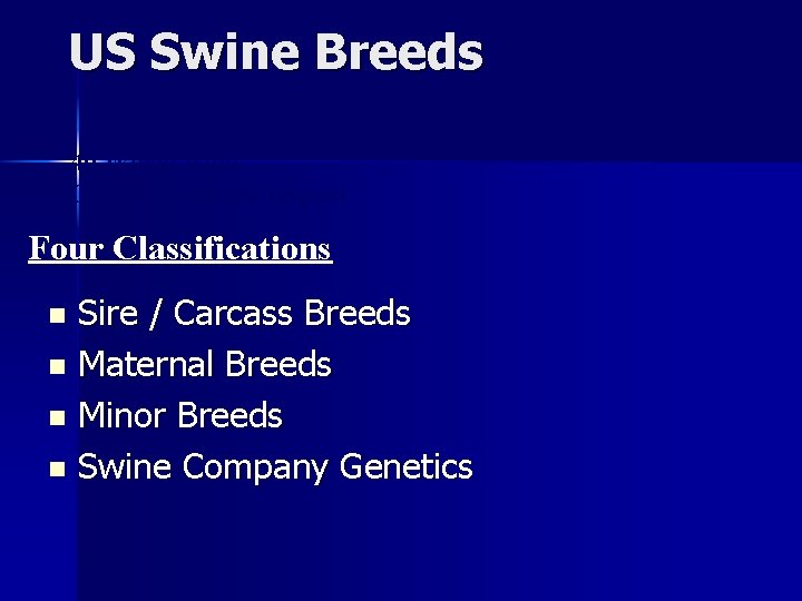 US Swine Breeds - 40 World wide - Only 8 Industry Impact Four Classifications