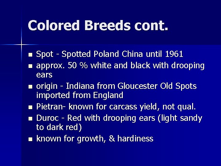 Colored Breeds cont. n n n Spot - Spotted Poland China until 1961 approx.