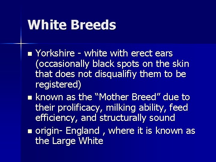White Breeds Yorkshire - white with erect ears (occasionally black spots on the skin