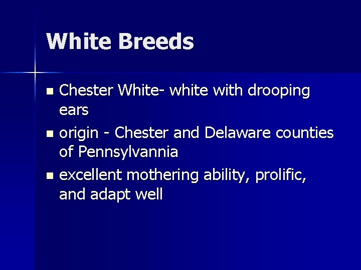White Breeds Chester White- white with drooping ears n origin - Chester and Delaware