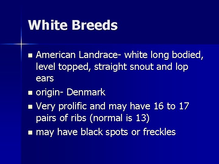 White Breeds American Landrace- white long bodied, level topped, straight snout and lop ears