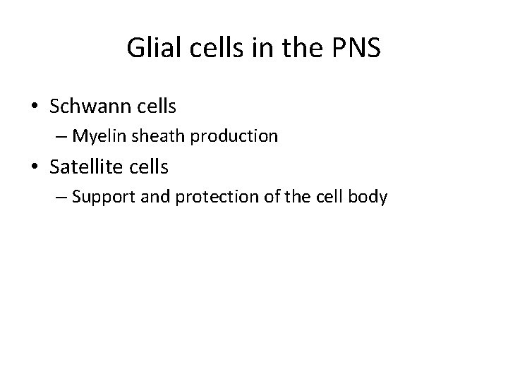 Glial cells in the PNS • Schwann cells – Myelin sheath production • Satellite