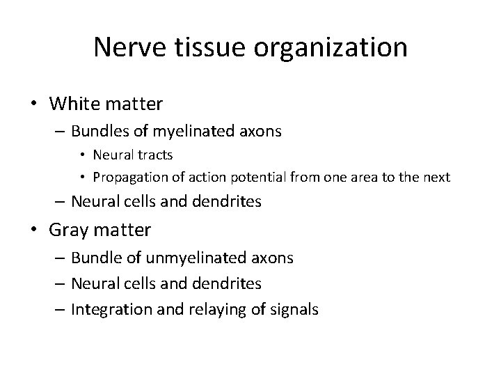 Nerve tissue organization • White matter – Bundles of myelinated axons • Neural tracts