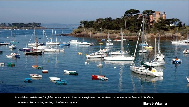 Saint-Briac-sur-Mer est à la fois connue pour la richesse de sa flore et ses