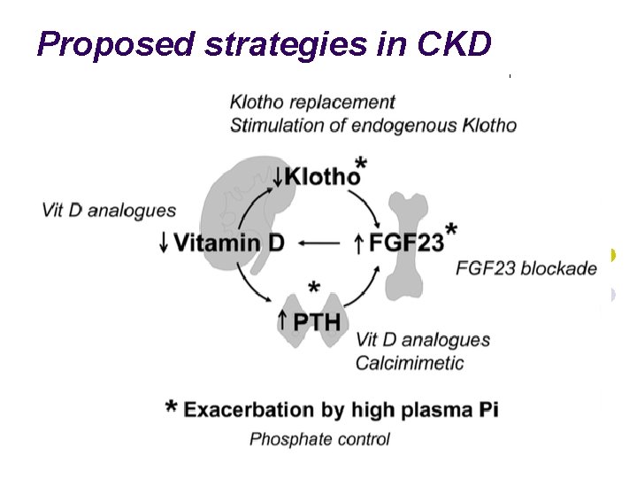 Proposed strategies in CKD 21 