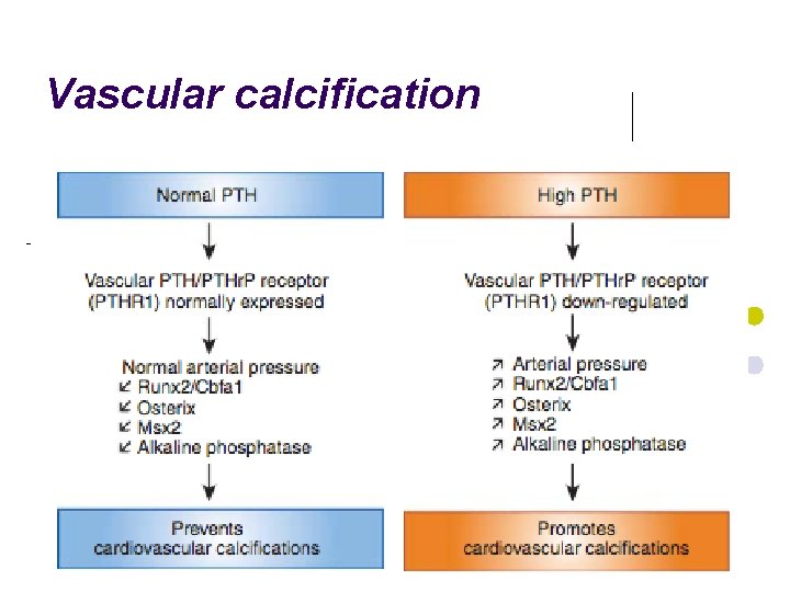 Vascular calcification 22 