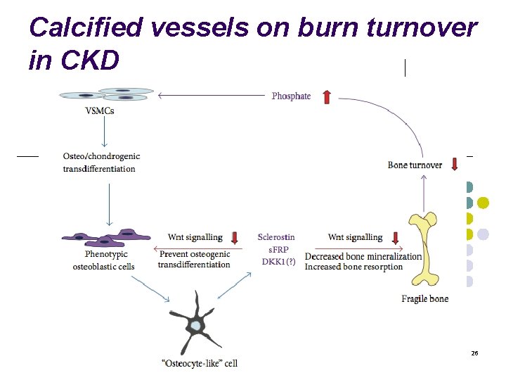 Calcified vessels on burn turnover in CKD 26 