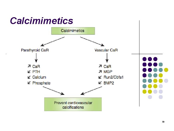 Calcimimetics 30 