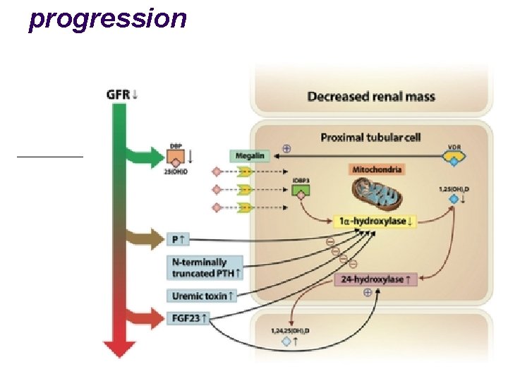 progression 35 