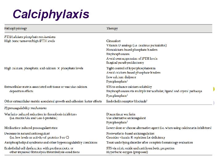 Calciphylaxis 41 