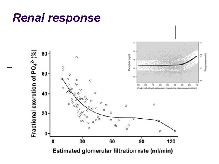 Renal response 8 