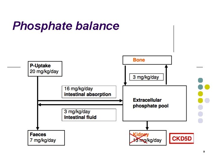 Phosphate balance 9 