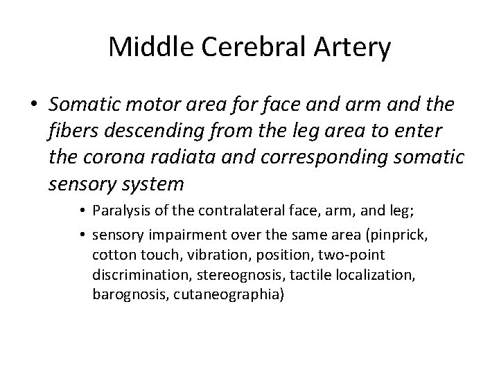 Middle Cerebral Artery • Somatic motor area for face and arm and the fibers