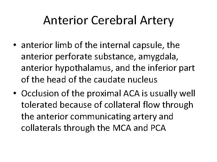 Anterior Cerebral Artery • anterior limb of the internal capsule, the anterior perforate substance,