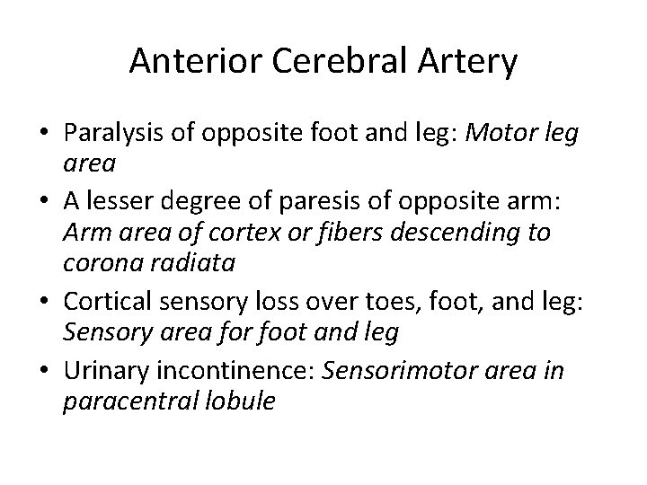 Anterior Cerebral Artery • Paralysis of opposite foot and leg: Motor leg area •