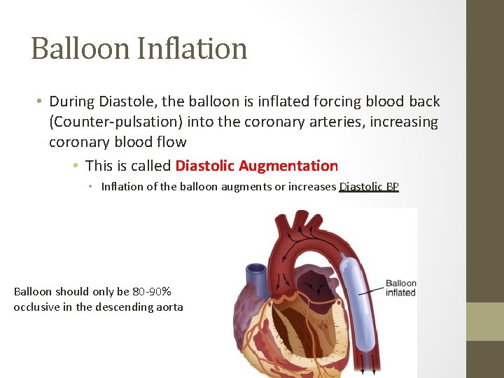 Balloon Inflation • During Diastole, the balloon is inflated forcing blood back (Counter-pulsation) into