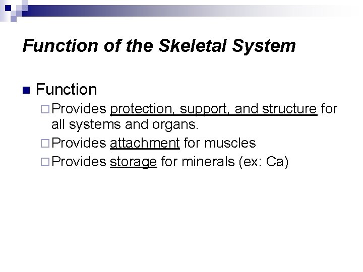 Function of the Skeletal System n Function ¨ Provides protection, support, and structure for