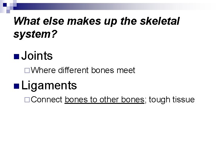 What else makes up the skeletal system? n Joints ¨ Where different bones meet
