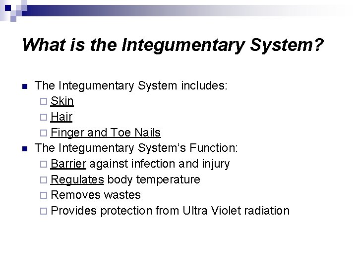What is the Integumentary System? n n The Integumentary System includes: ¨ Skin ¨