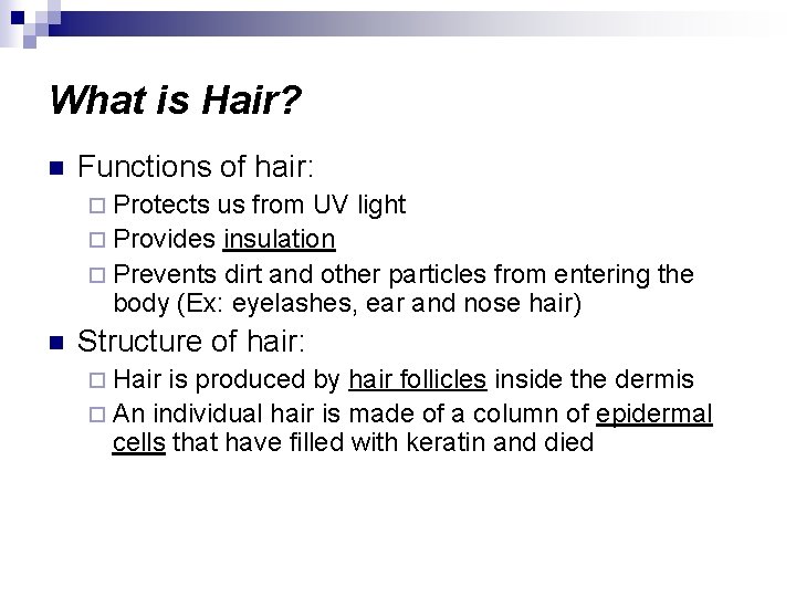 What is Hair? n Functions of hair: ¨ Protects us from UV light ¨
