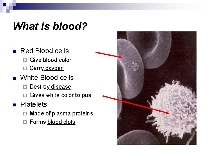 What is blood? n Red Blood cells Give blood color ¨ Carry oxygen ¨