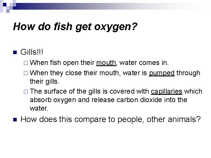 How do fish get oxygen? n Gills!!! ¨ When fish open their mouth, water
