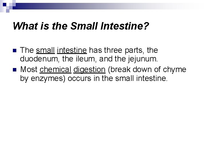 What is the Small Intestine? n n The small intestine has three parts, the
