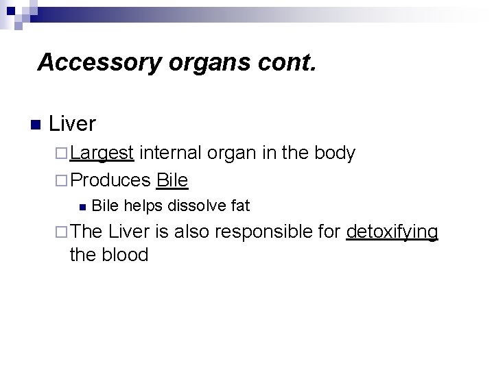 Accessory organs cont. n Liver ¨ Largest internal organ in the body ¨ Produces