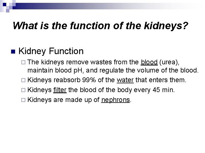 What is the function of the kidneys? n Kidney Function ¨ The kidneys remove
