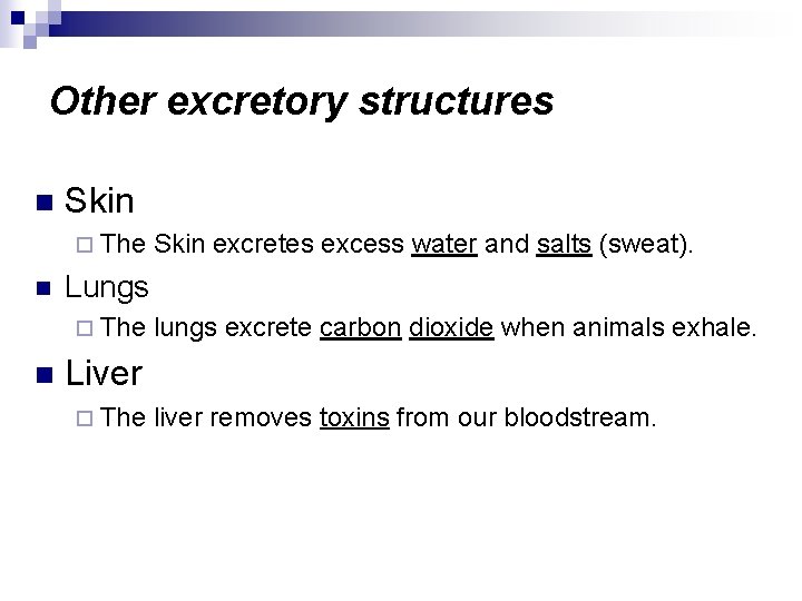 Other excretory structures n Skin ¨ The n Lungs ¨ The n Skin excretes