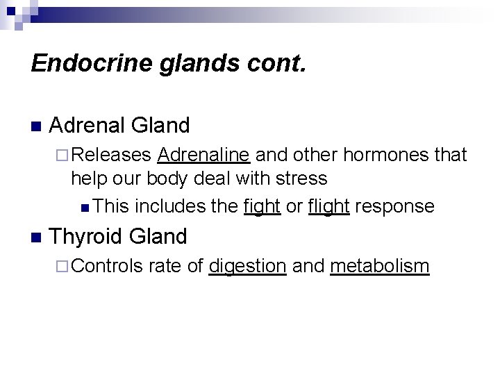 Endocrine glands cont. n Adrenal Gland ¨ Releases Adrenaline and other hormones that help