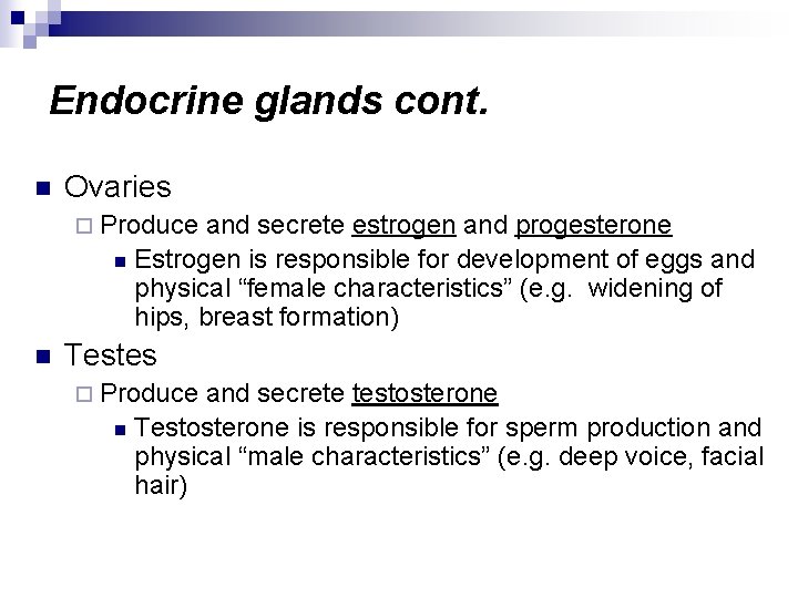 Endocrine glands cont. n Ovaries ¨ Produce and secrete estrogen and progesterone n Estrogen