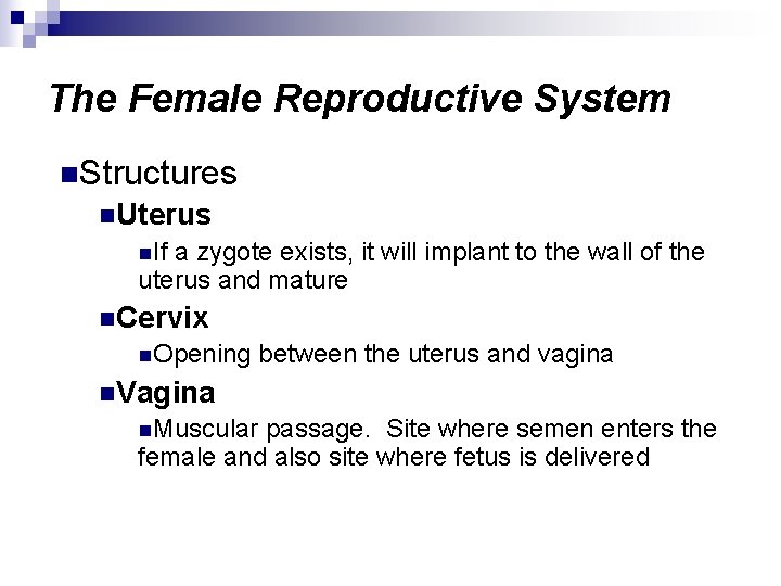 The Female Reproductive System n. Structures n. Uterus n. If a zygote exists, it