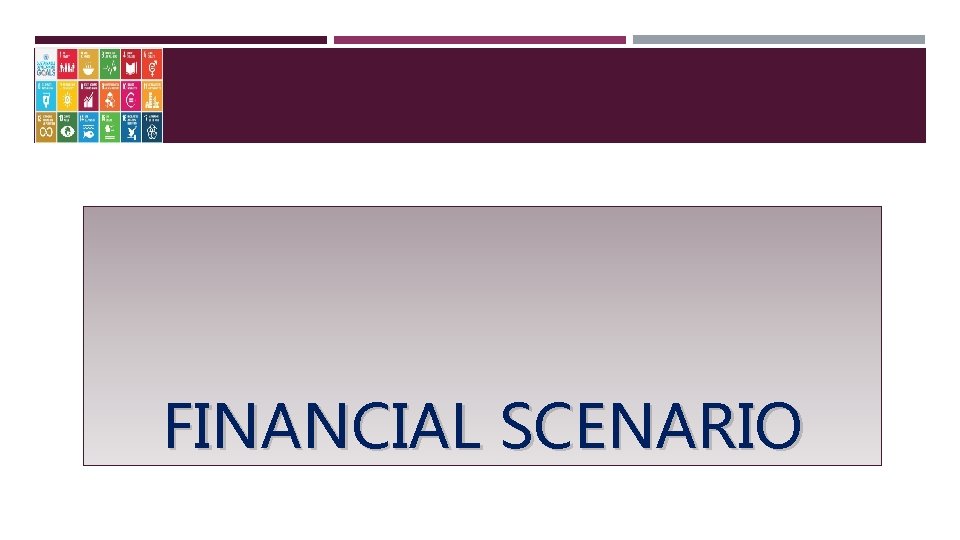 FINANCIAL SCENARIO 