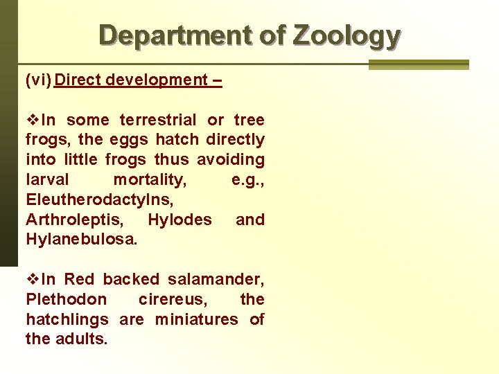 Department of Zoology (vi) Direct development – v. In some terrestrial or tree frogs,