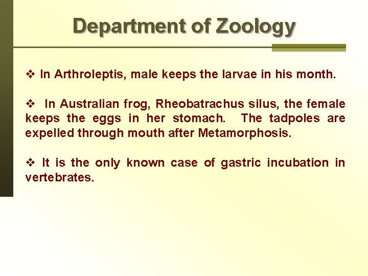 Department of Zoology v In Arthroleptis, male keeps the larvae in his month. v
