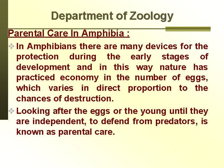 Department of Zoology Parental Care In Amphibia : v In Amphibians there are many