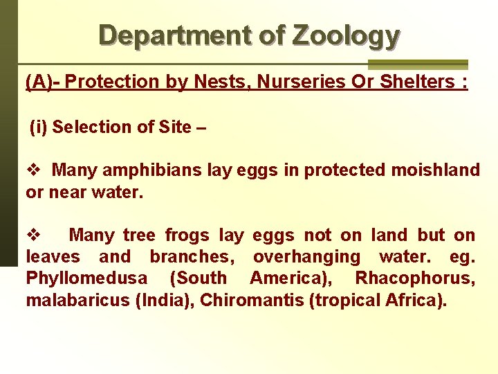 Department of Zoology (A)- Protection by Nests, Nurseries Or Shelters : (i) Selection of